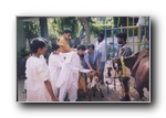 gal/Kaleidoscope_Learning_Center/_thb_012.jpg