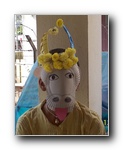 gal/Pongal_2005/_thb_pongal02.jpg
