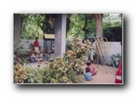 gal/V-Excel/_thb_017.jpg